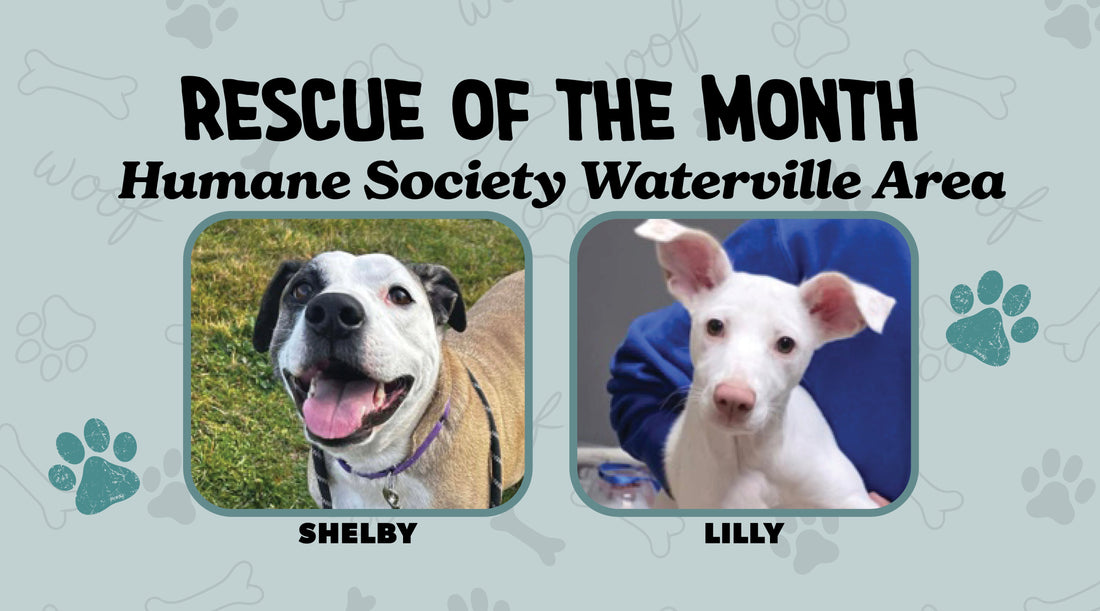 Humane Society Waterville Area