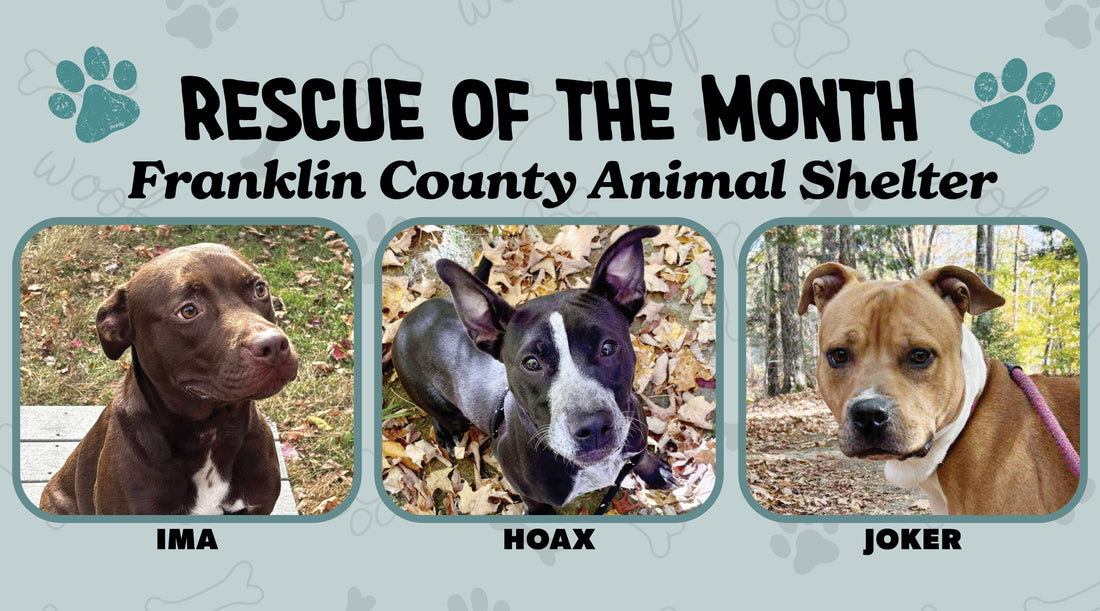 Franklin County Animal Shelter
