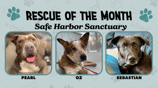 Safe Harbor Sanctuary