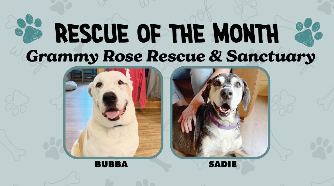 Grammy Rose Rescue & Sanctuary