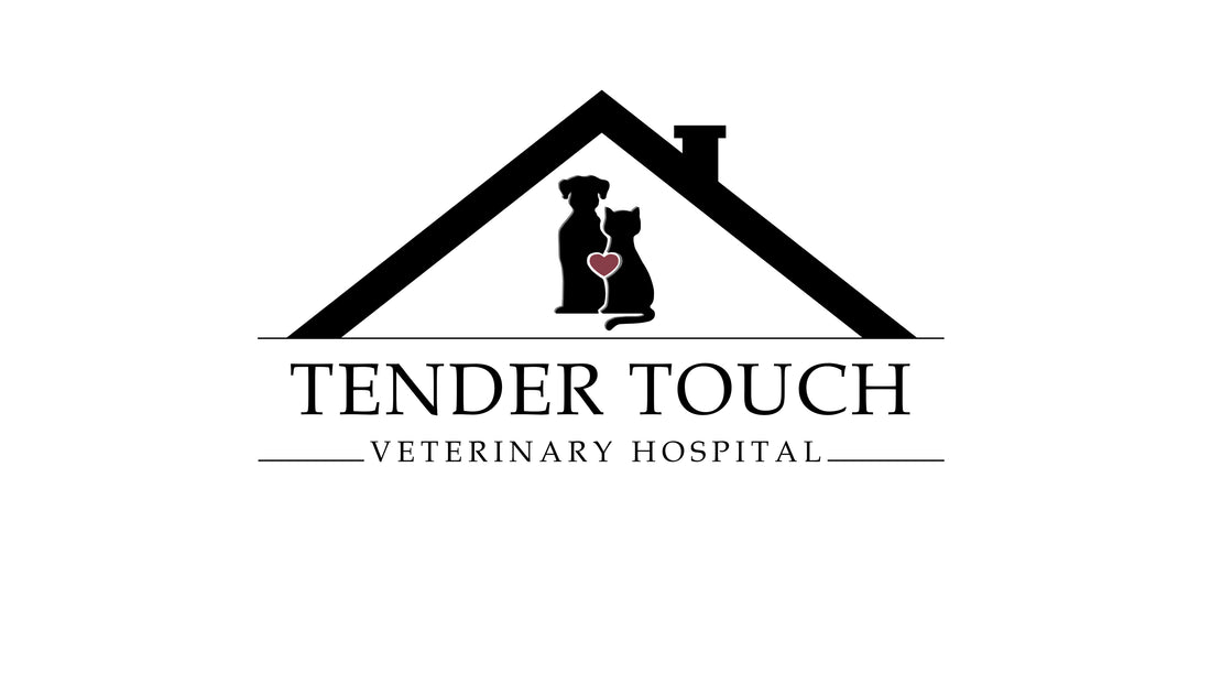 Tender Touch Veterinary Hospital