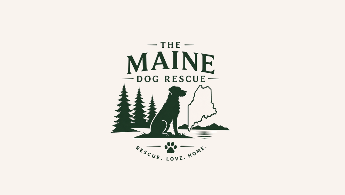 Paws for a Cause Fundraiser