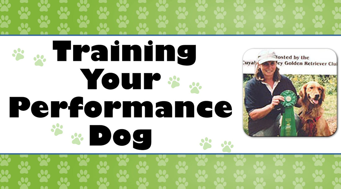 Building Confidence and Desire