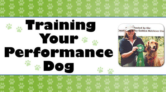 Training Your Performance Dog Focus, Attention, Engagement, Cooperation