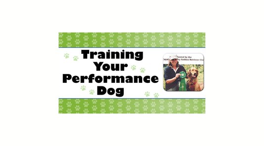 Obedience: The Foundation of All We Do With Our Dogs