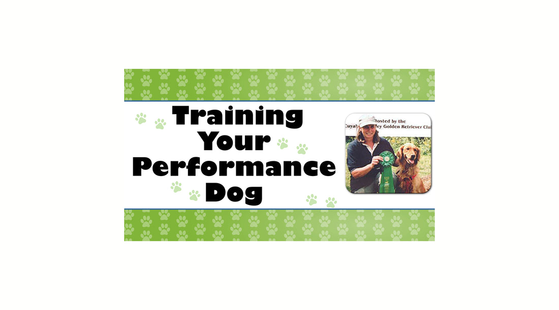 Obedience: The Foundation of All We Do With Our Dogs
