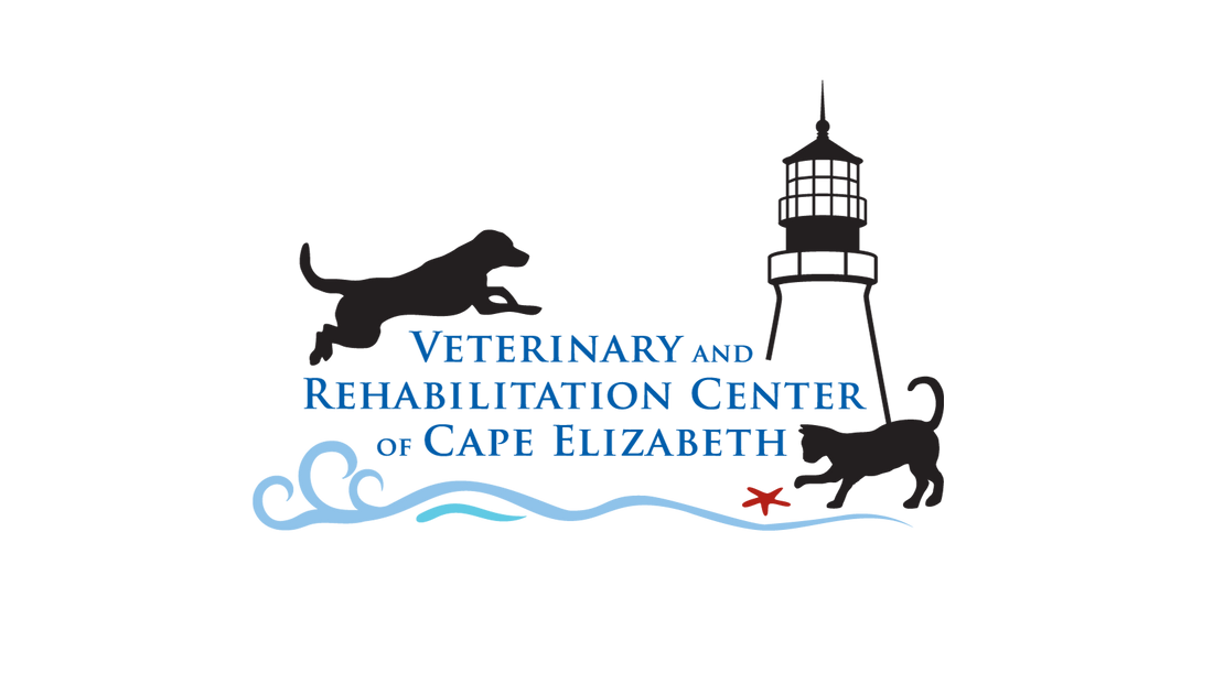 Veterinary and Rehabilitation Center of Cape Elizabeth