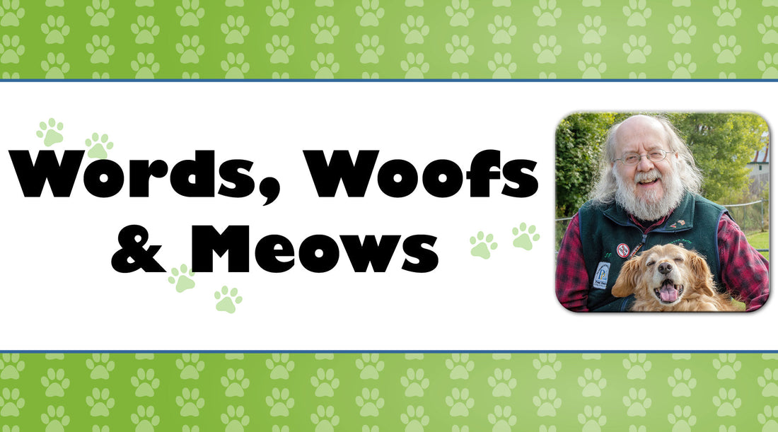 Moving to a New Home When You Have Pets – Part One
