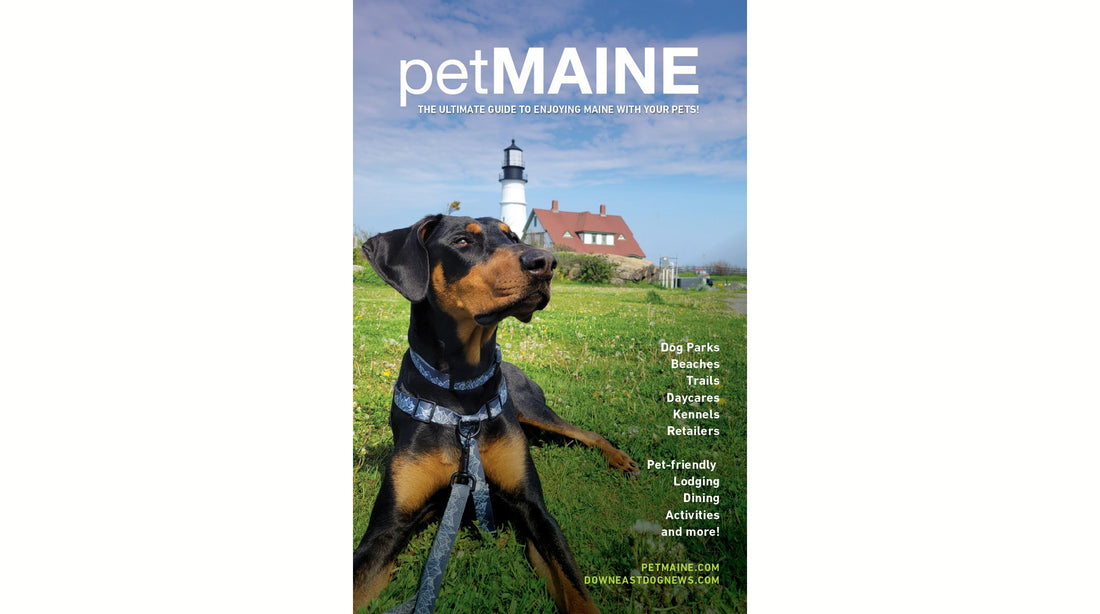 2023 petMAINE Guide