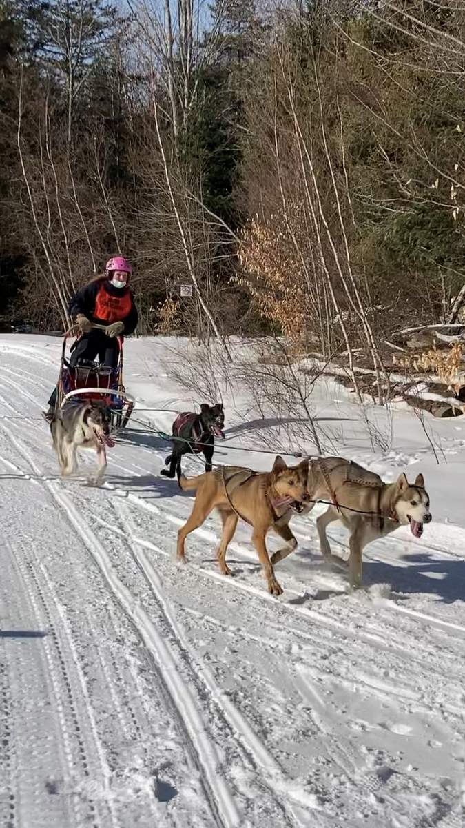 Maddy, Husila, Pippen, and Jack