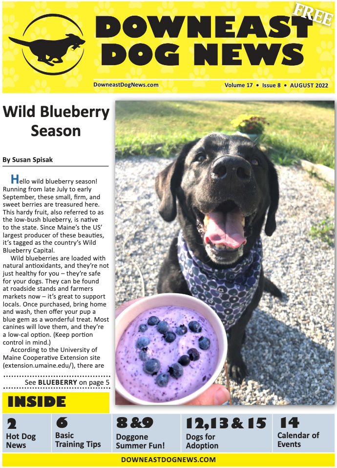 DownEast Dog News Paper